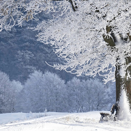 Écharpes chaudes Femme - horizons boutique