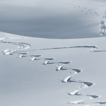 Écharpes chaudes Homme - horizons boutique