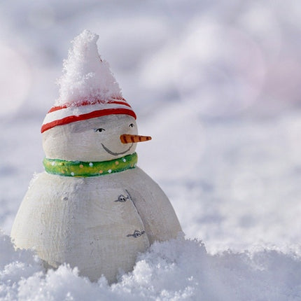 Pashminas et écharpes chaudes - horizons boutique