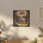 40cm x 40cm