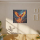 50cm x 50cm