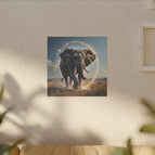 40cm x 40cm